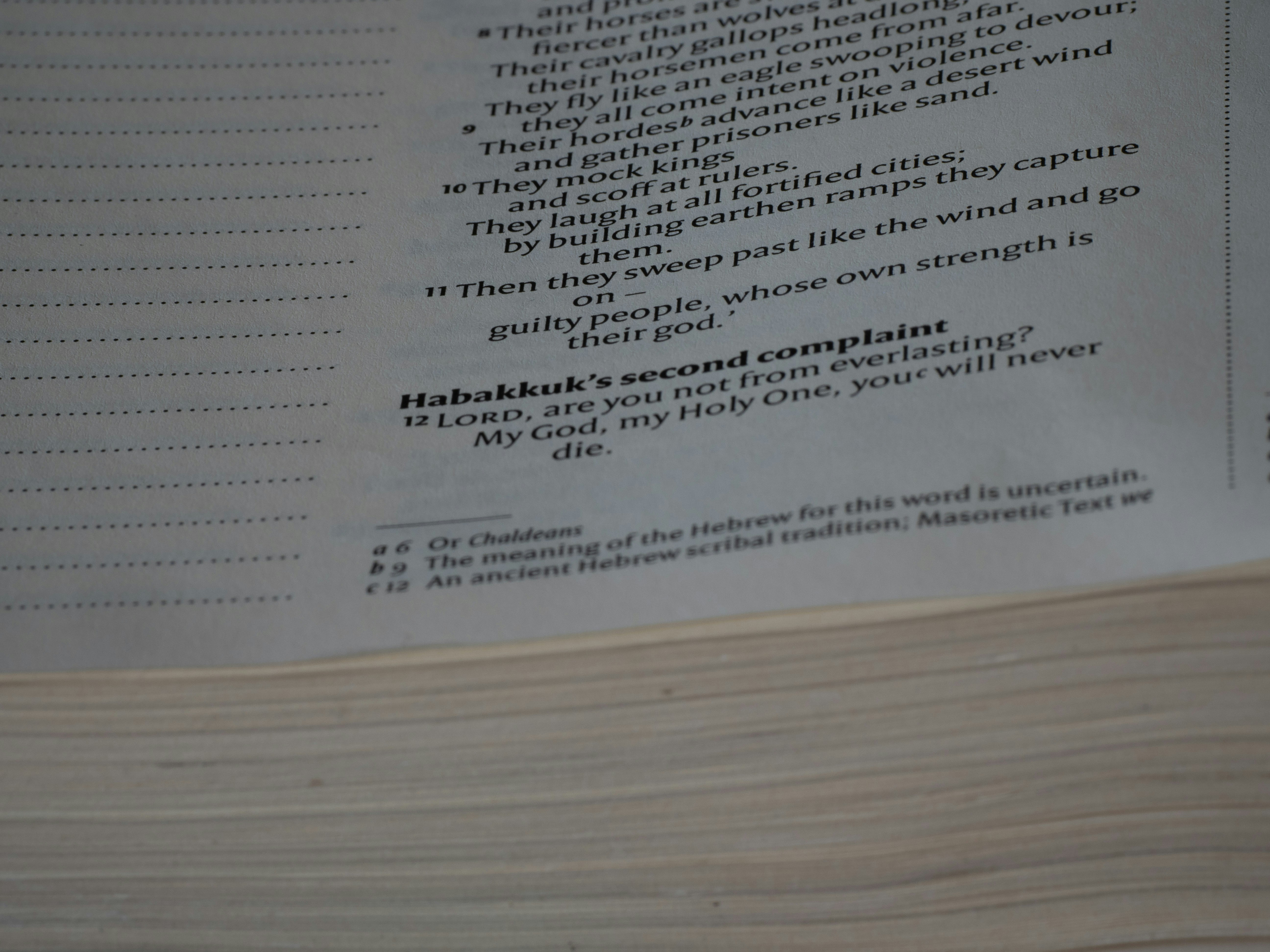 close up, bokeh, macro, blur, blurred background, close focus, bible, old testament, hebrew bible, christian, judaism, history, text, reading, bible study, devotions, New International Version, type, typography, canon, christianity, scripture, old testament, hebrew bible, habakkuk, minor prophet, Habacuc,